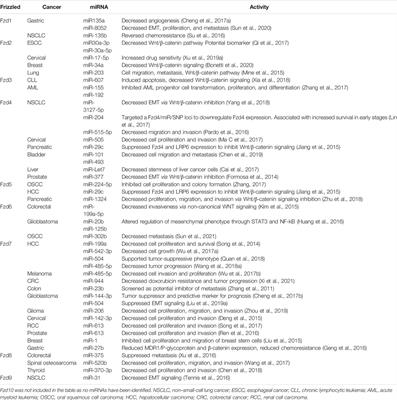 Non-Coding RNA and Frizzled Receptors in Cancer